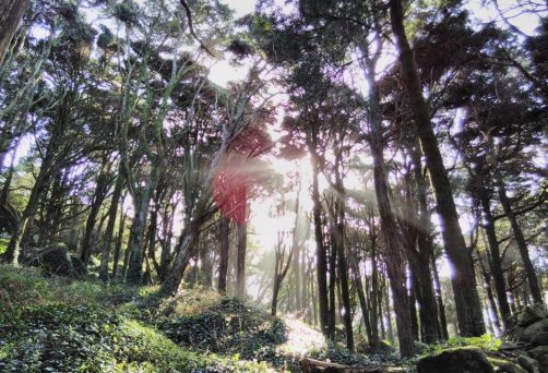 EMBODIED VOICE GATHERING (Saturday, 17th October)